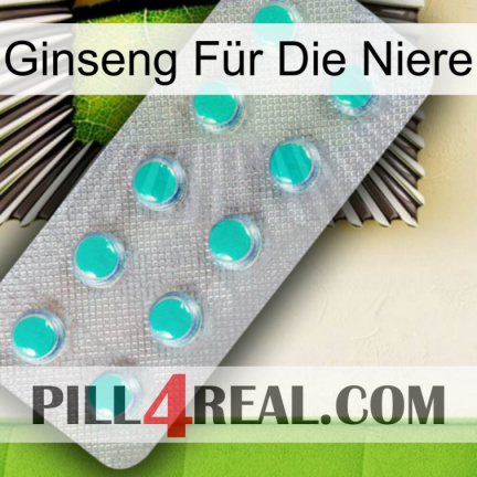 Ginseng Für Die Niere 28